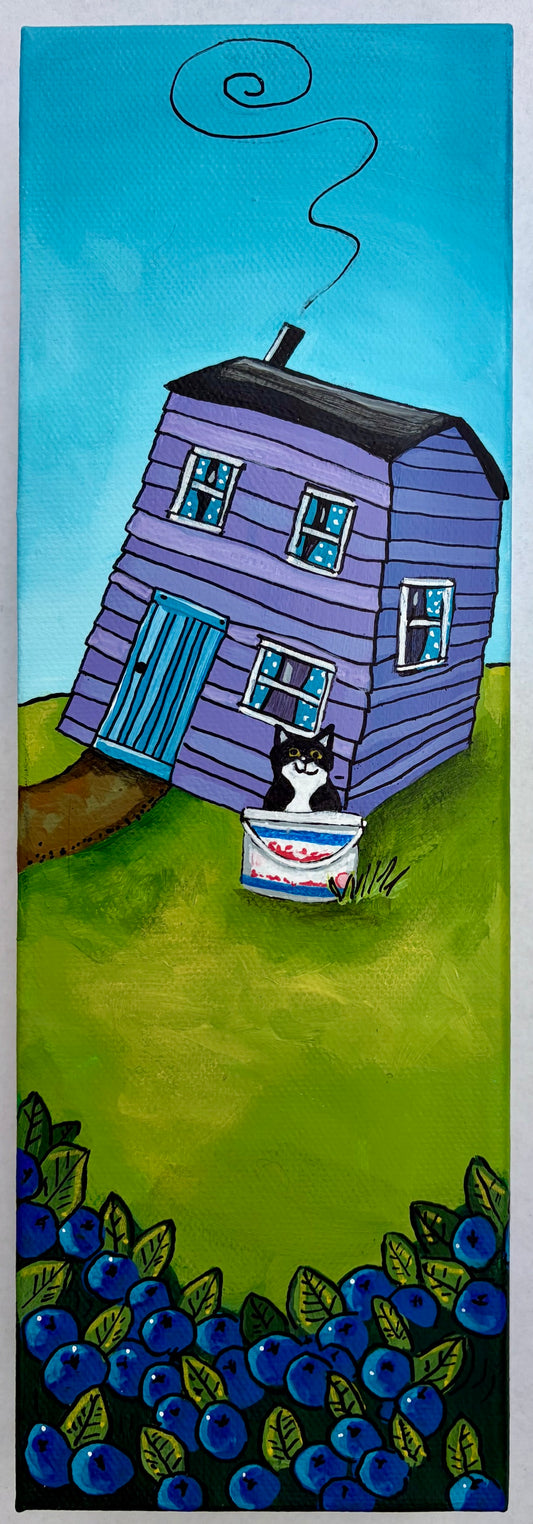 Nan's tuxedo cat was waiting in the salt beef Bucket because it was hoping for a ride to the blueberry patch, when they went picking later that afternoon.