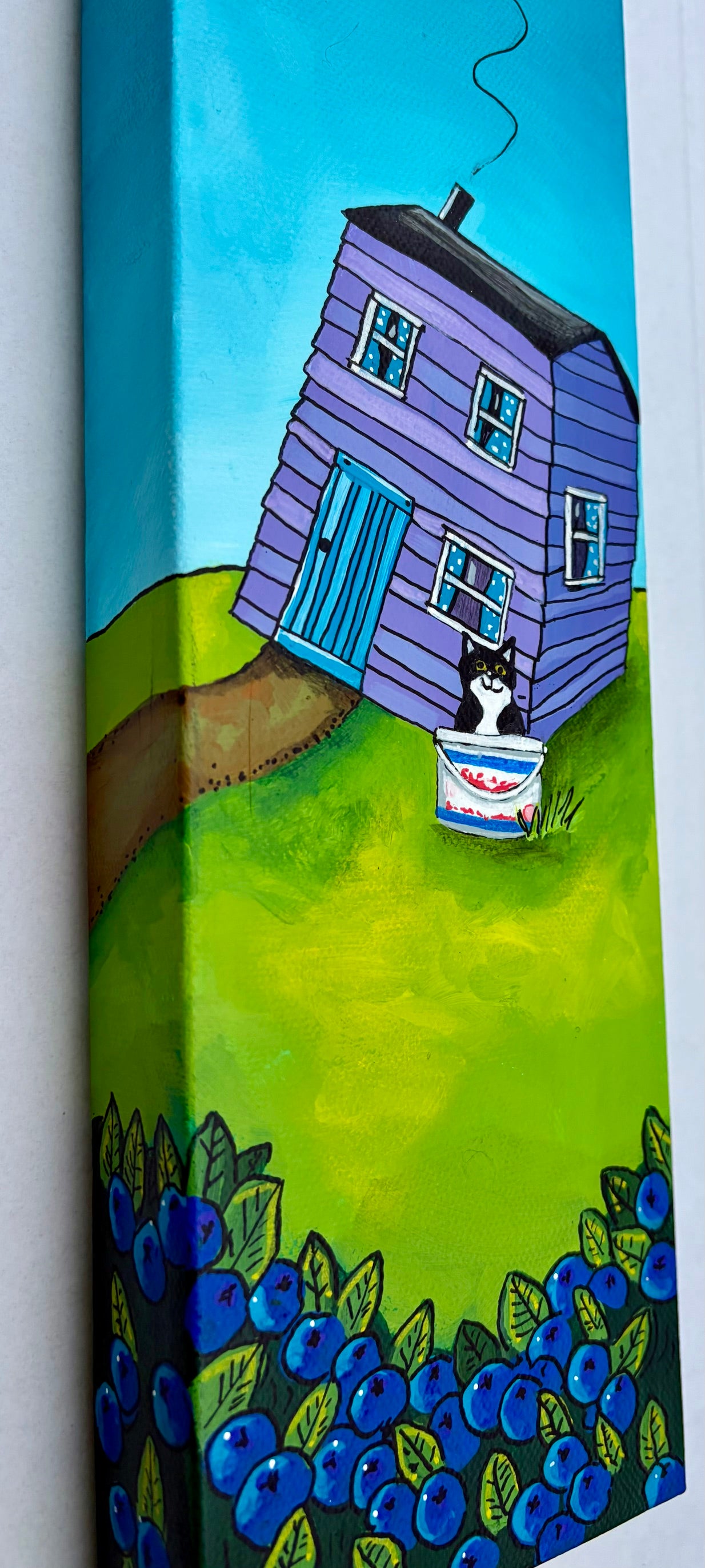 Nan's tuxedo cat was waiting in the salt beef Bucket because it was hoping for a ride to the blueberry patch, when they went picking later that afternoon.